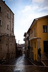 Taurasi